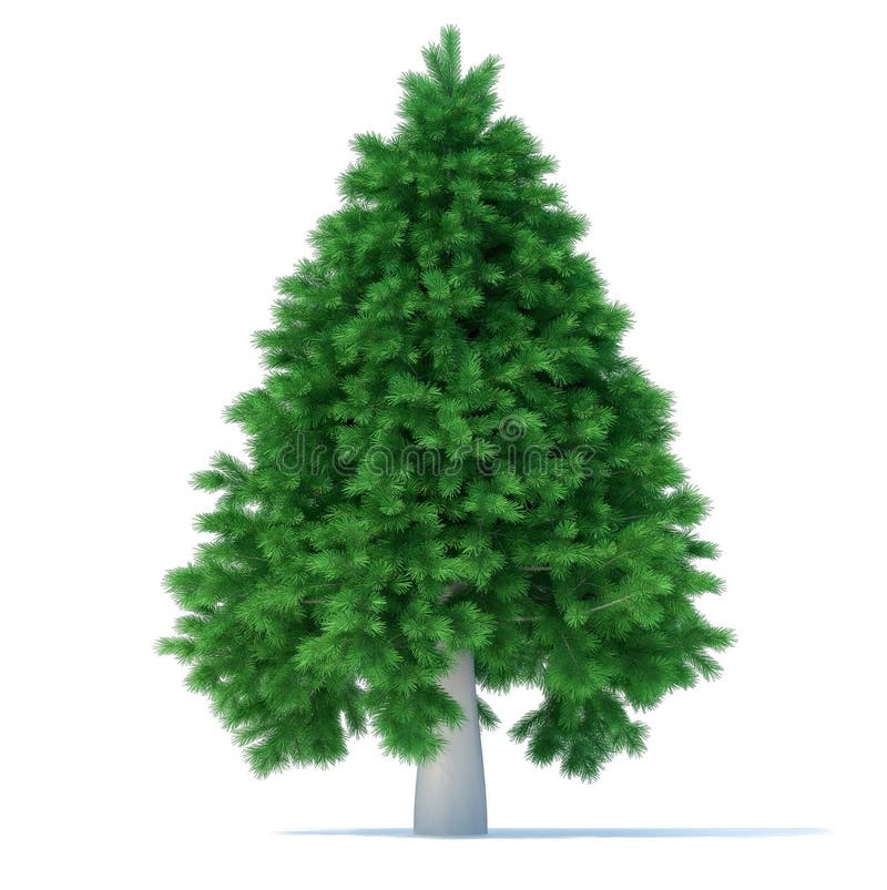 Undecorated Christmas Tree Stock Illustrations 523 Undecorated