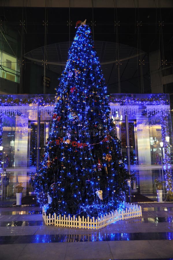 Christmas Tree in Dublin City Ireland Stock Photo Image of ireland