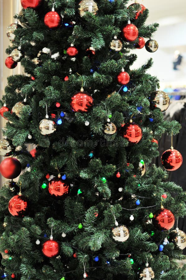 Christmas Tree stock image. Image of celebration, gathering - 11947139