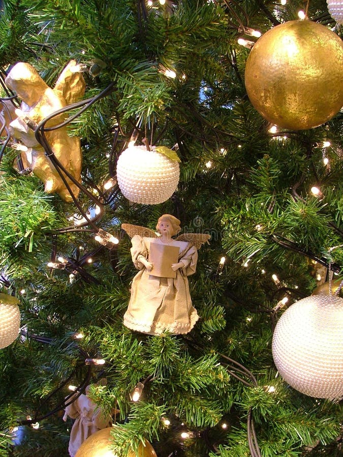 Angelo, l'albero di natale.