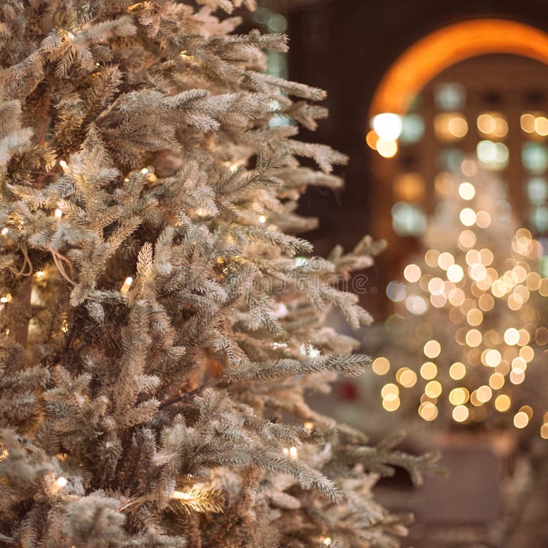 Christmas tree background stock image. Image of blur 260361729