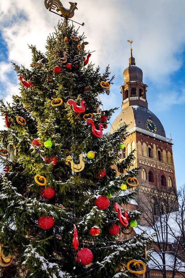 Christmas Tree on the Background of the Dome Cathedral Stock Image