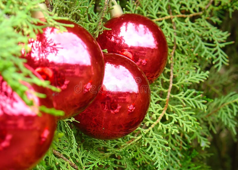 Christmas tree balls stock photo. Image of christ, celebrate 1529910