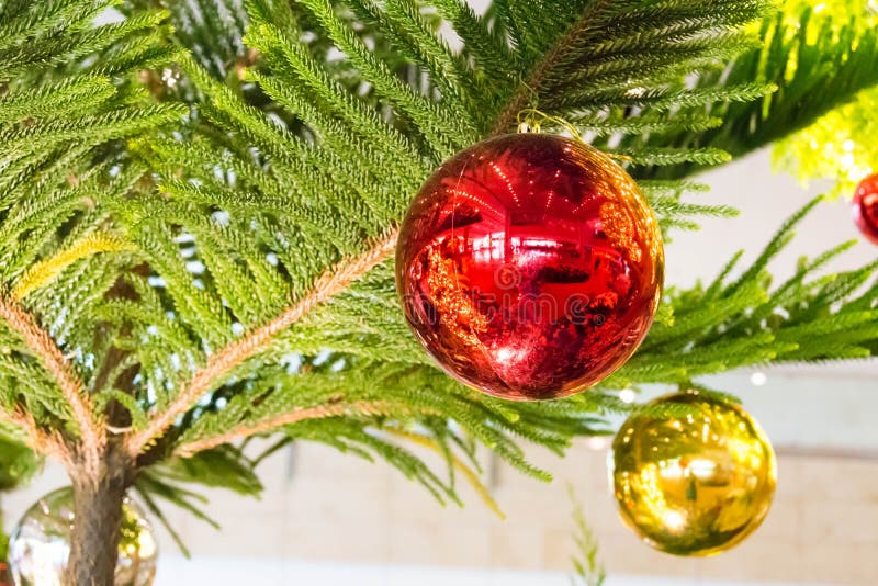 Christmas Tree and Christmas Balls Stock Photo Image of happy