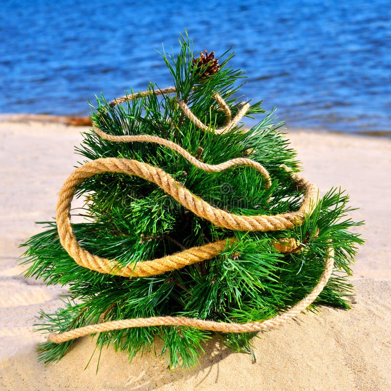 Christmas Tree on Sand in the Beach Stock Photo Image of colored
