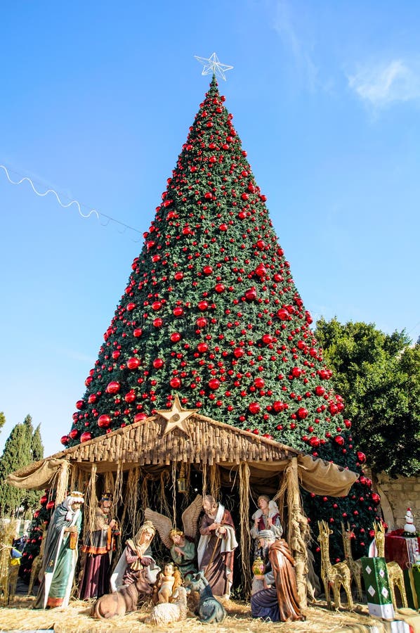 Christmas Tree in Bethlehem, Palestine Stock Image Image of celebrate