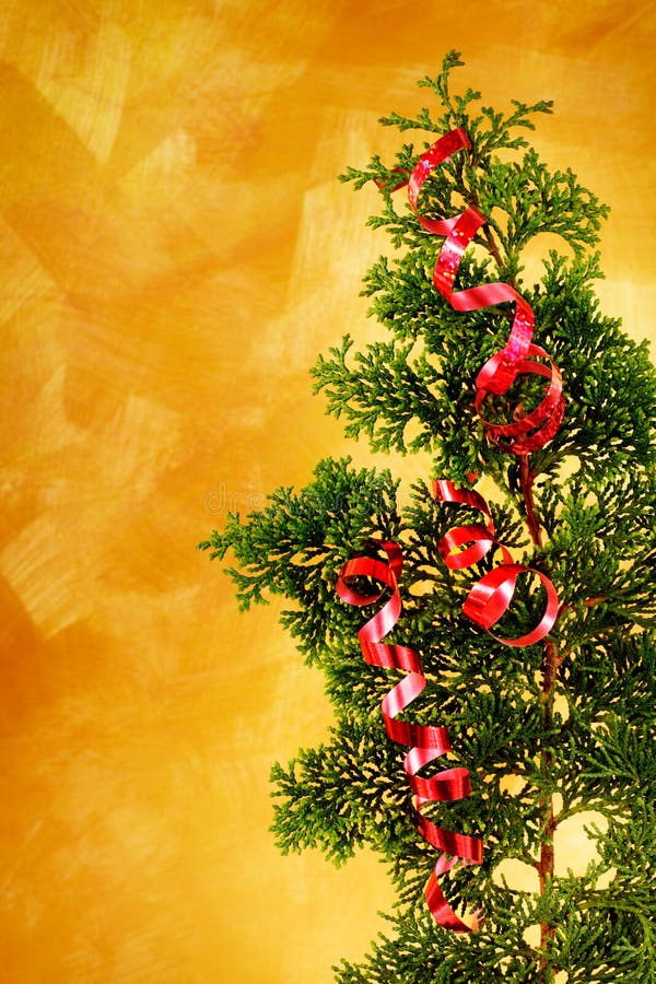 Christmas Tree Branch with Red Ribbon Decoration Stock Image Image of