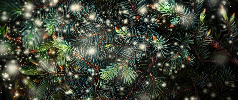 Christmas Tree Wallpapers  Top Những Hình Ảnh Đẹp