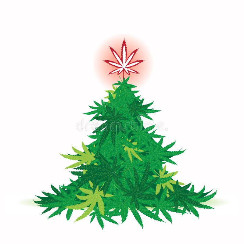 Cannabis Baum Cannabis Baum