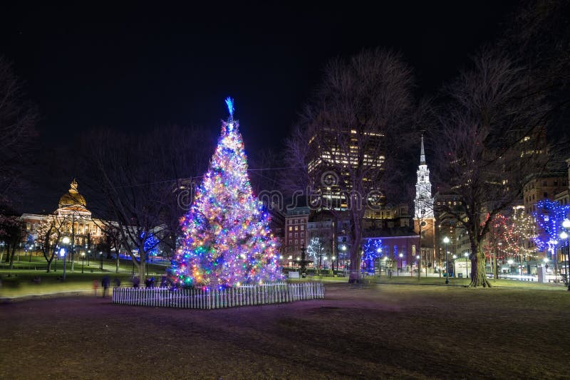 The Christmas Tree through the Window Stock Image Image of brown