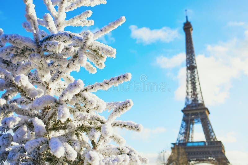 Christmas Tree Covered With Snow Near The Eiffel Tower Stock Image