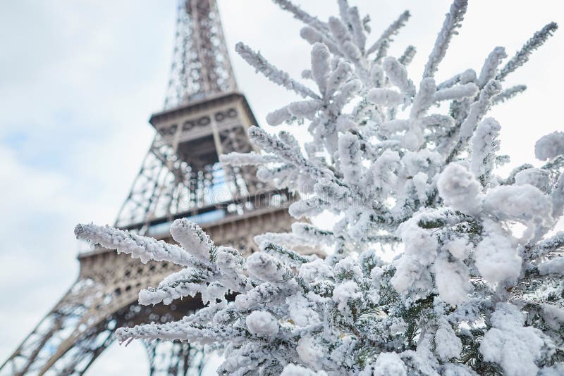 Christmas Tree Covered With Snow Near The Eiffel Tower Stock Photo