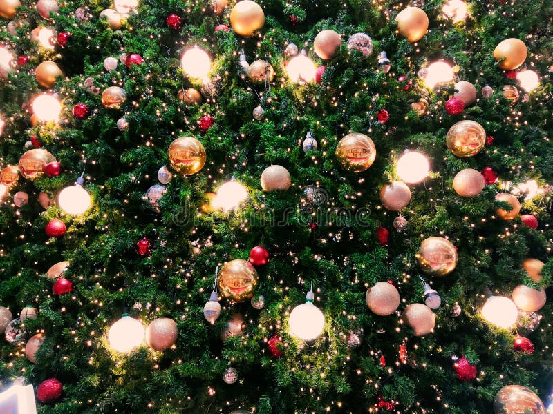 Christmas Tree Decorated With Bulbs Stock Photo Image of holiday