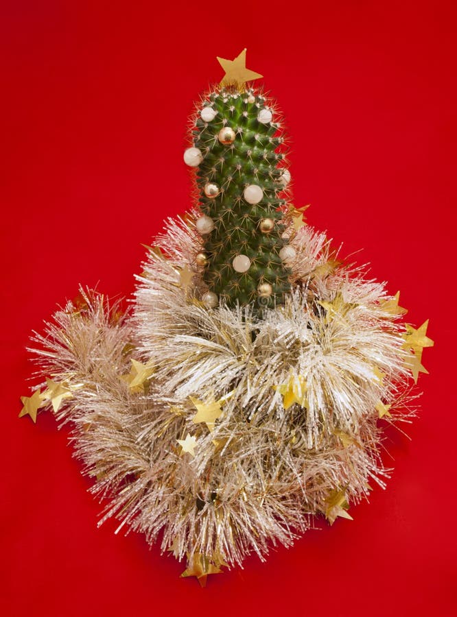 Christmas Tree the Decorated Cactus. Stock Photo Image of year
