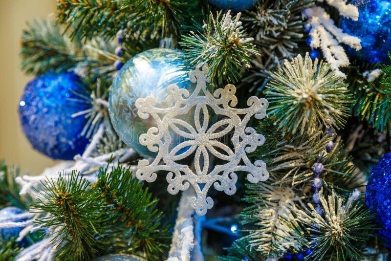 The Christmas Tree is a Decorated Evergreen Coniferous Tree, Real or