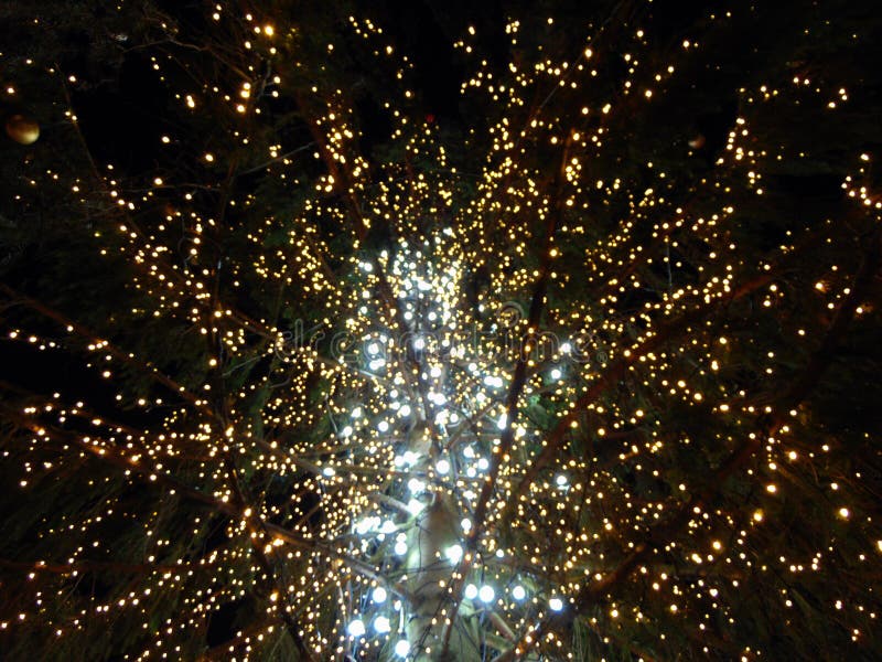 Christmas Tree and Decorations in Baia Mare Stock Photo Image of