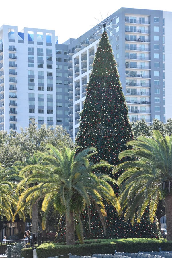 Christmas Tree at Eola Park in Orlando, Florida Editorial Photography
