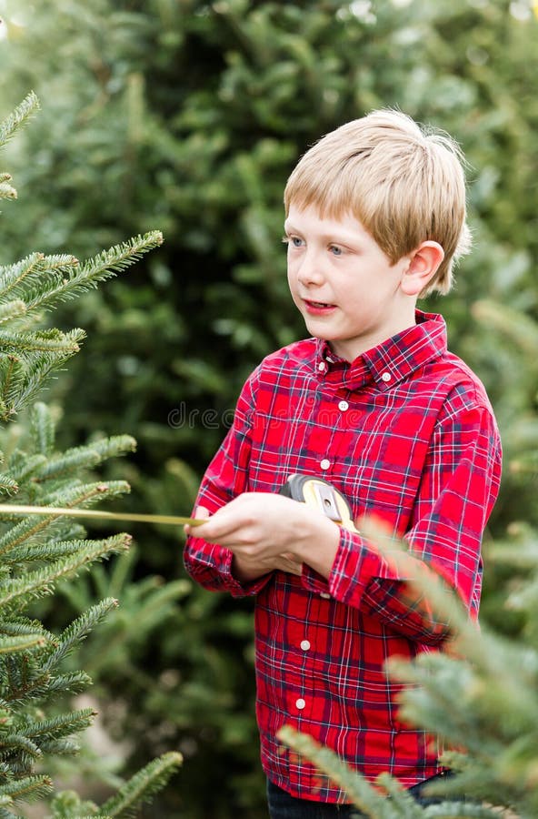 Christmas tree farm stock image. Image of hobbies, caucasian 47788943