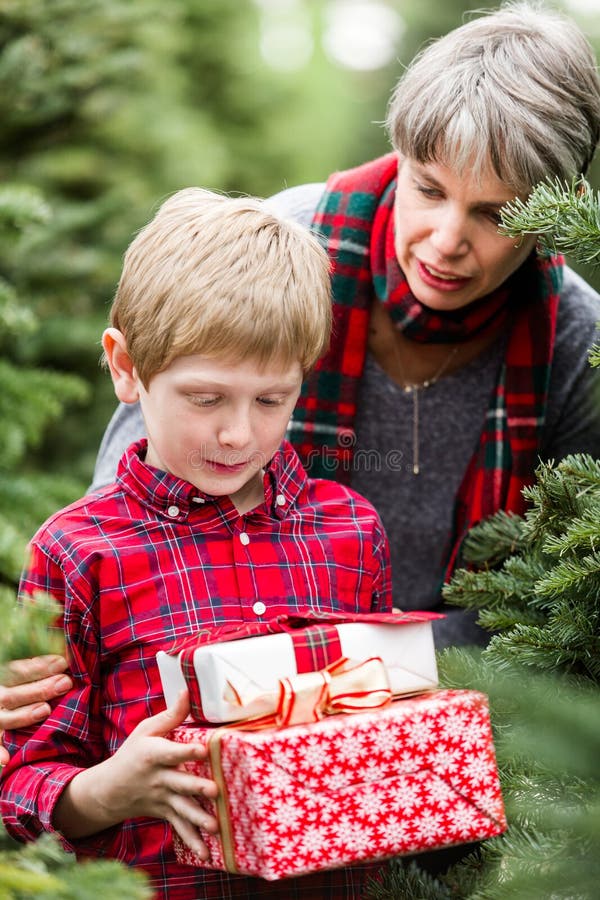 Christmas tree farm stock photo. Image of hanging, christmas 47789092
