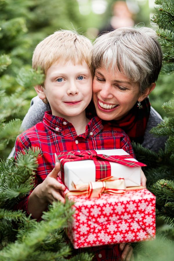 Christmas tree farm stock image. Image of choosing, evergreen 47789097
