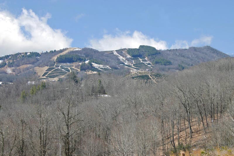 Christmas Tree Whiteout stock image. Image of christmas 14943057