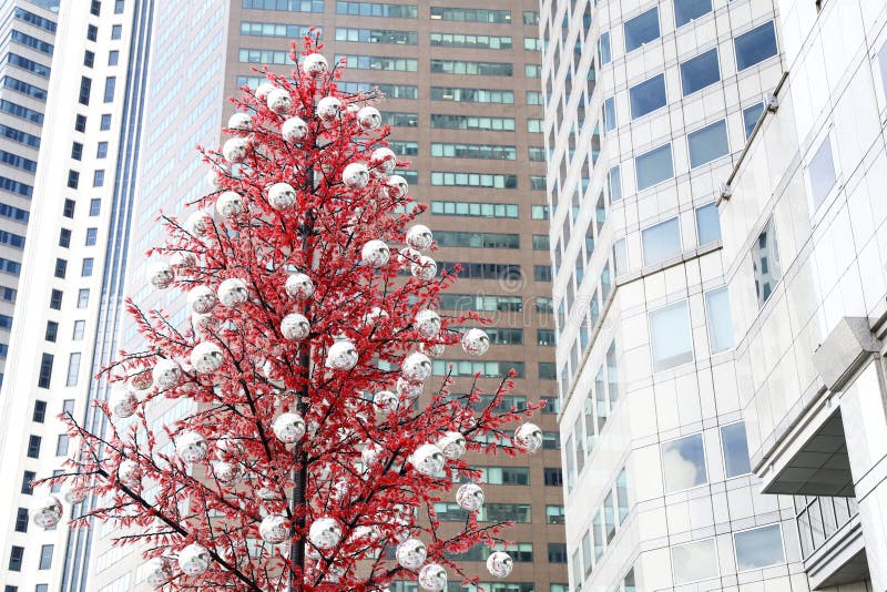 Christmas Tree in the Front of Modern Buildings Stock Photo Image of