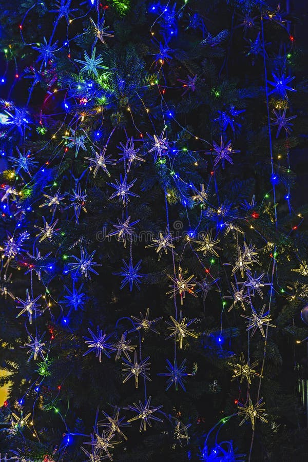 Pine Tree Full of with Lights Stock Photo Image of holidays, tree