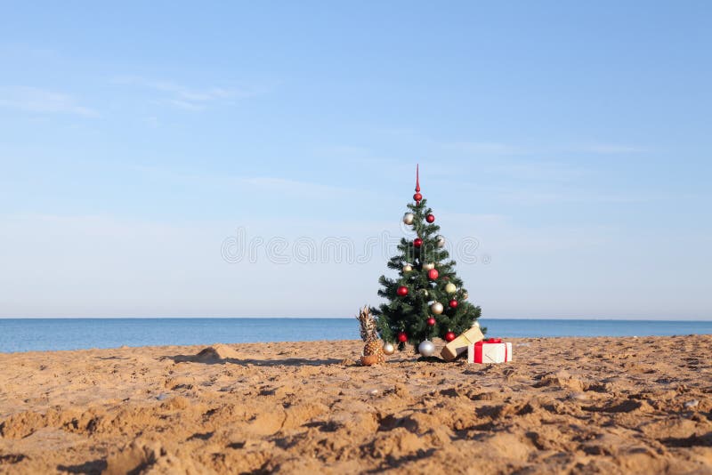 Christmas tree with the gift of tropical resort on the beach