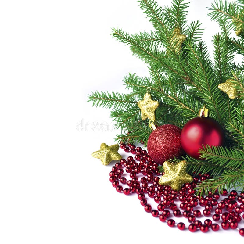 Fir tree branches stock photo. Image of decorative, isolated - 22094756