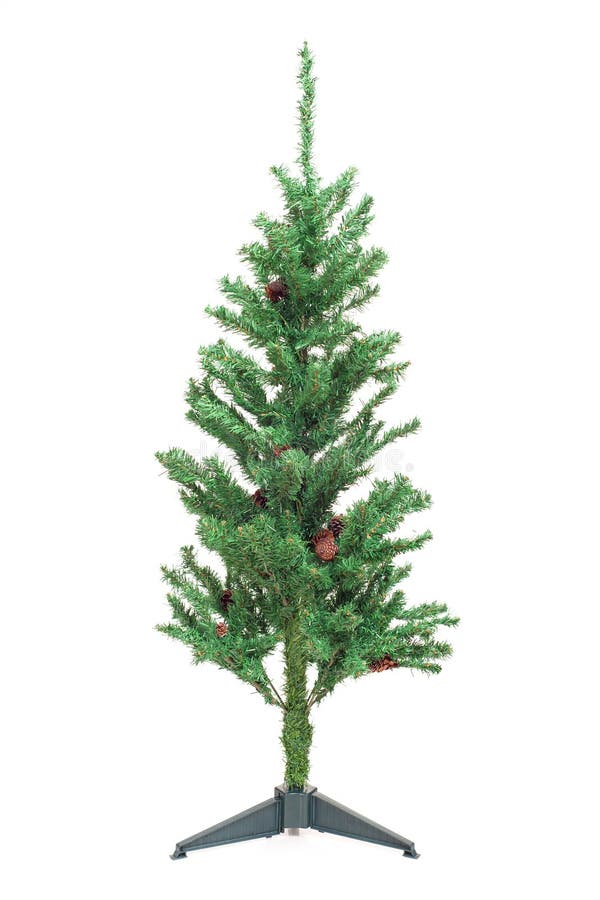 Bare Christmas Tree without Decoration Stock Photo Image of sharp
