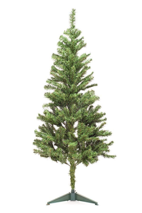 Bare Christmas Tree without Decoration Stock Photo Image of sharp