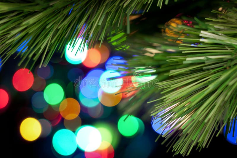 Vánoční strom větev s zářící světla v pozadí.