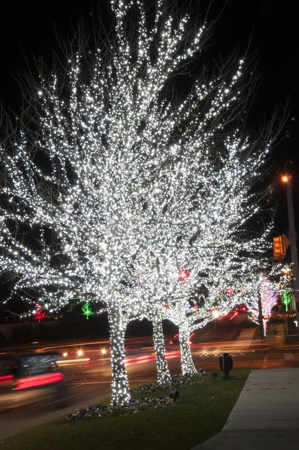 Christmas Lights Outside On A Home Stock Image - Image of bush ...