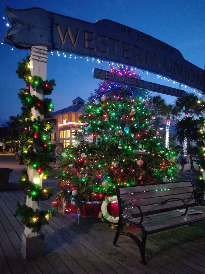 Christmas tree lights editorial photo. Image of harbour 135312506