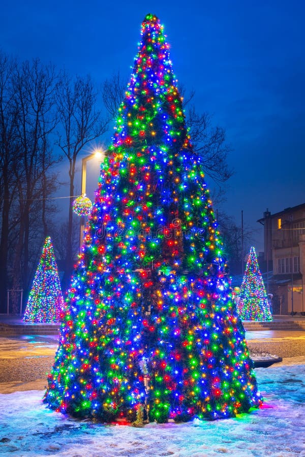 Christmas Tree Lights in the Park Stock Image - Image of dusk, park ...