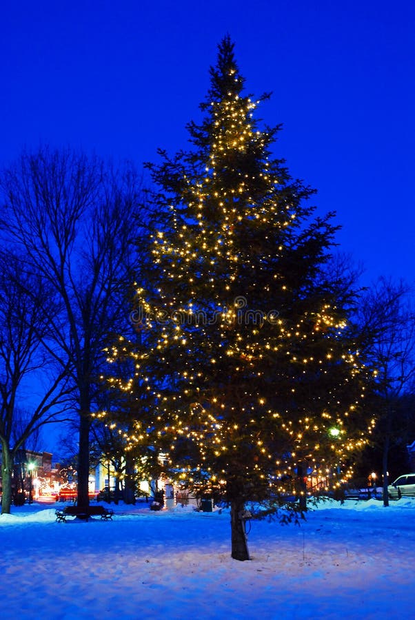 A Christmas Tree Lights Up a Town Square Stock Image Image of illuminate, downtown 152355503
