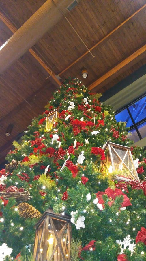 Christmas Tree at the Lodge Stock Photo Image of lodge, christmas