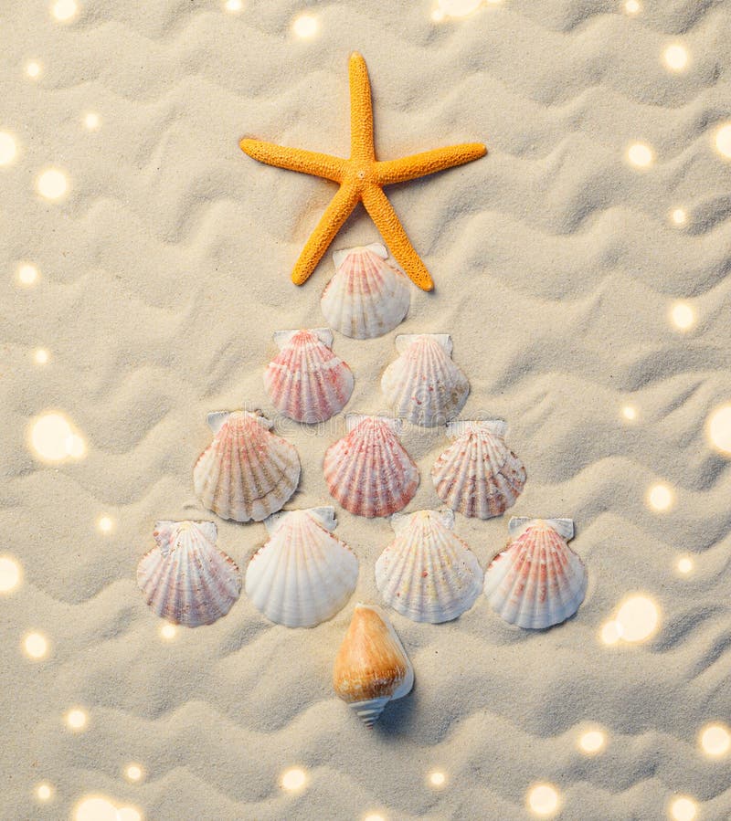 Christmas tree made of seashells and seastar on the sand. Travel season to sun countries and to seashore on New Year`s holidays