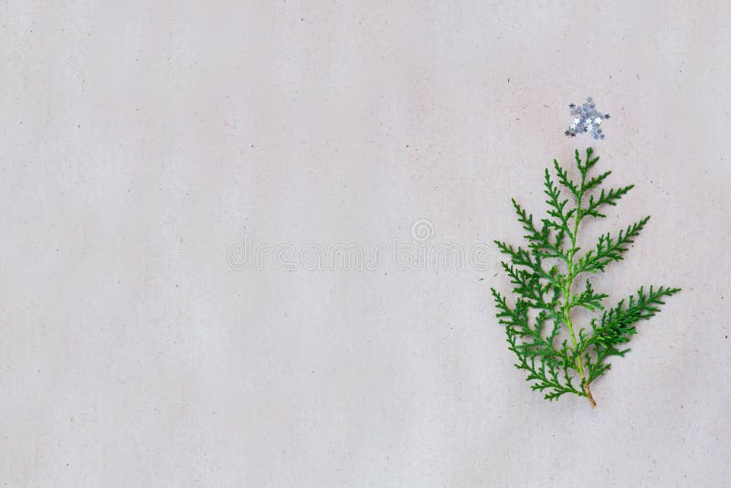 Christmas tree made of thuja branches and decorations star on rustic background. new year concept. Flat lay, top view royalty free stock photos Christmas tree made of thuja branches and decorations star on rustic background. new year concept. Flat lay, top view royalty free stock photos