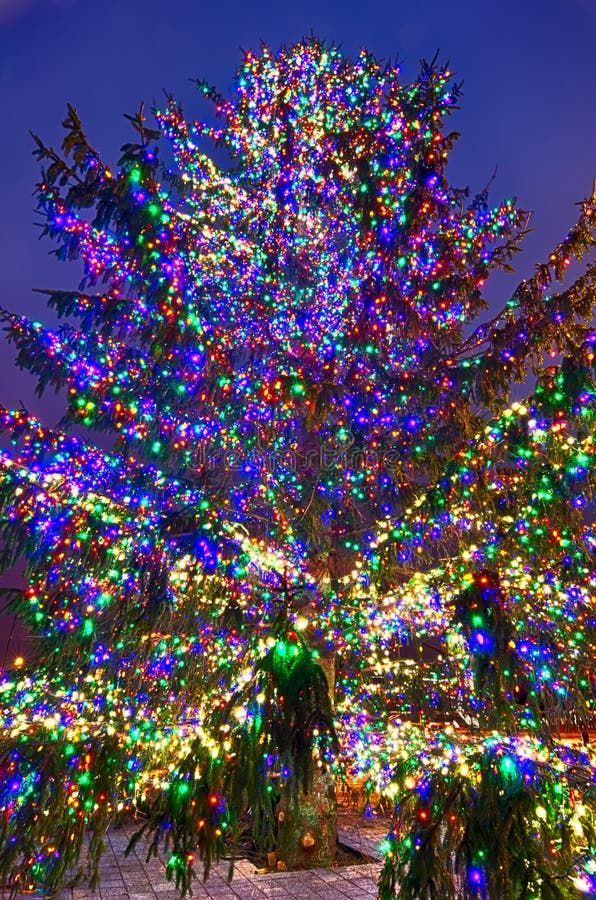 Christmas Tree Near Panther Stadium in Charlotte North Carolina Stock ...