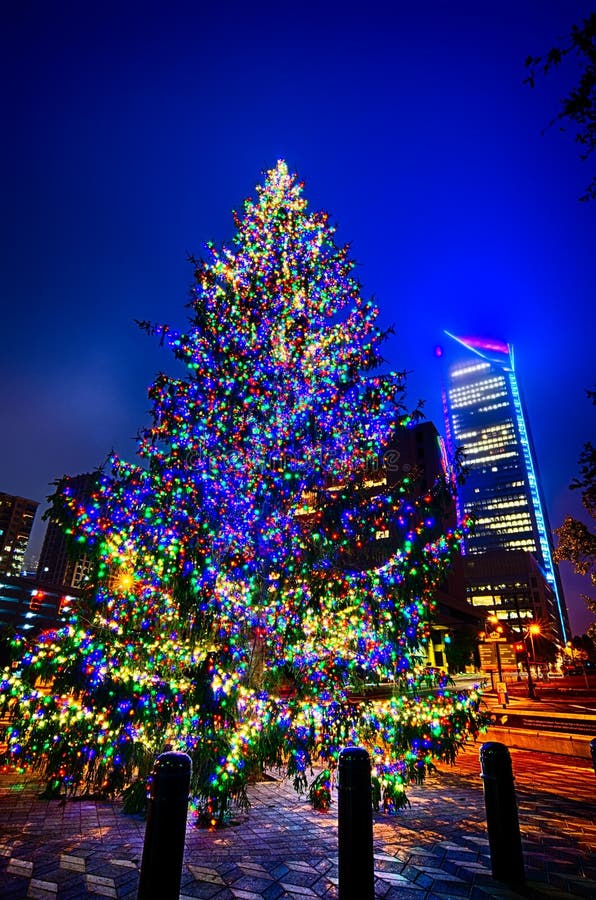 Christmas tree near panther stadium in charlotte north carolina