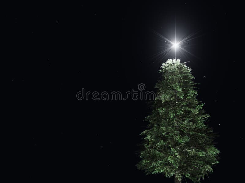 Christmas Tree at night