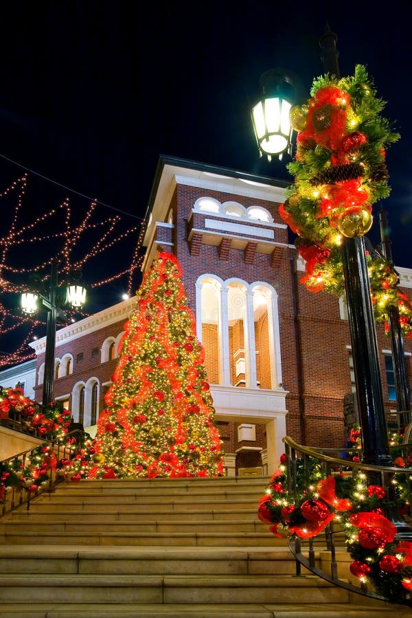 Christmas Tree at night