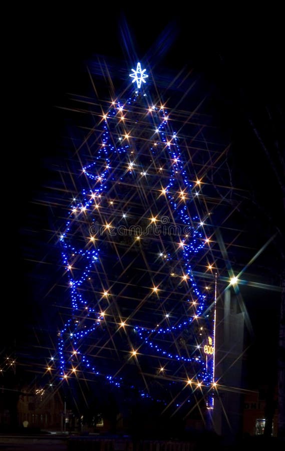 Christmas tree night