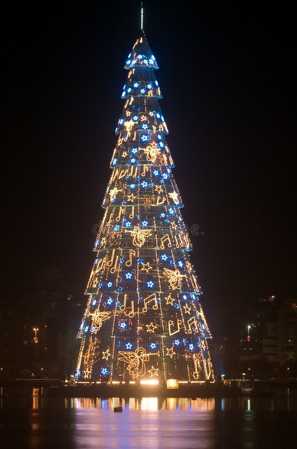 Christmas tree at night stock photos Christmas tree at night stock photos