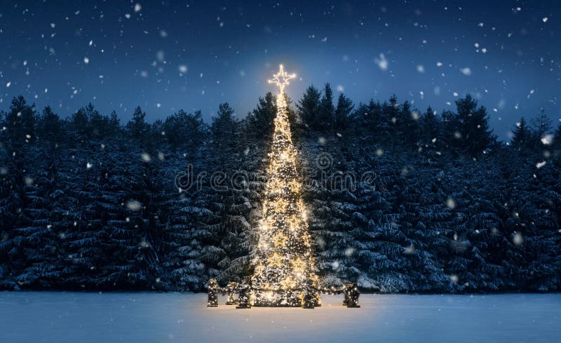 Night Christmas Illumination of Parma in Italy Stock Image - Image of ...