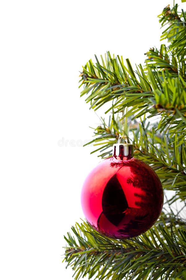 Christmas Tree with Ornaments Stock Photo Image of holiday, white