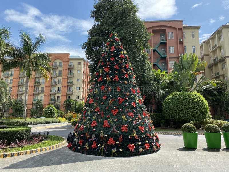 339 Christmas Tree Philippines Stock Photos Free & RoyaltyFree Stock