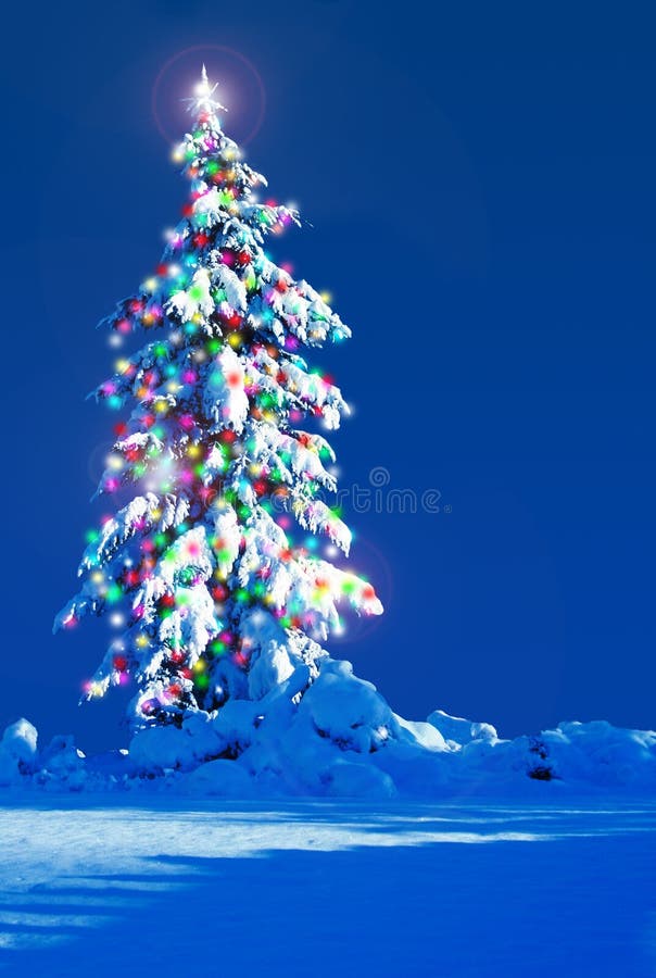 Christmas tree outside.