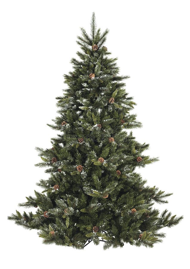 Christmas tree stock photo. Image of cone, white, bare 45827174